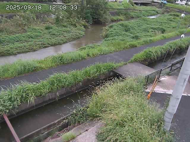 加茂川２2025/09/18 14:50:00