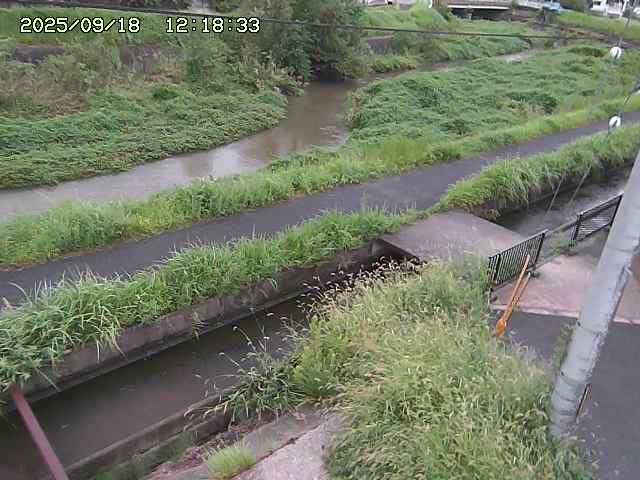 加茂川２2025/09/18 14:50:00
