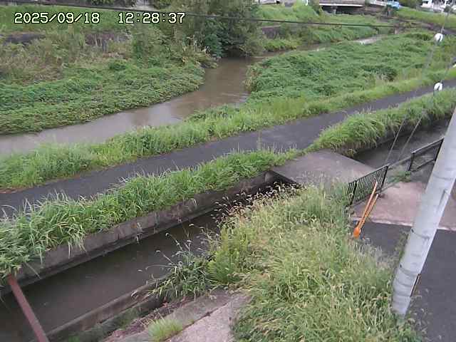 加茂川２2025/09/18 14:50:00