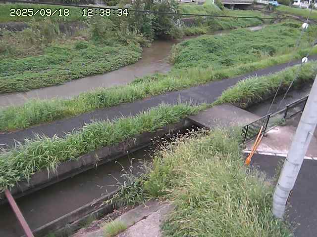 加茂川２2025/09/18 14:50:00