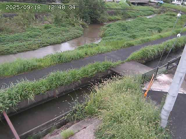 加茂川２2025/09/18 14:50:00