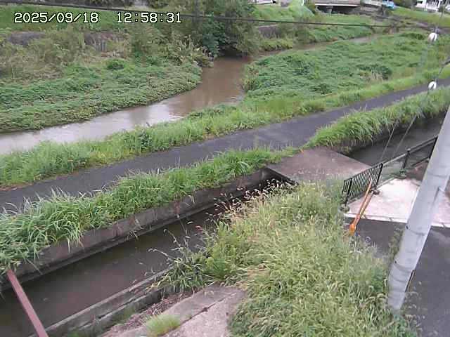 加茂川２2025/09/18 14:50:00