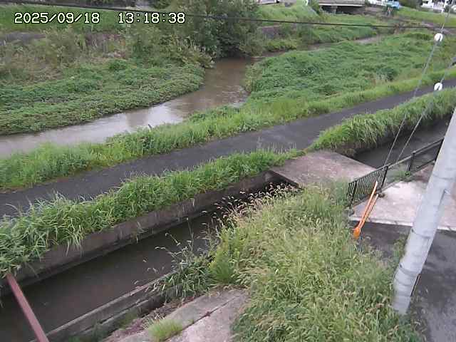 加茂川２2025/09/18 14:50:00