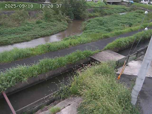 加茂川２2025/09/18 14:50:00
