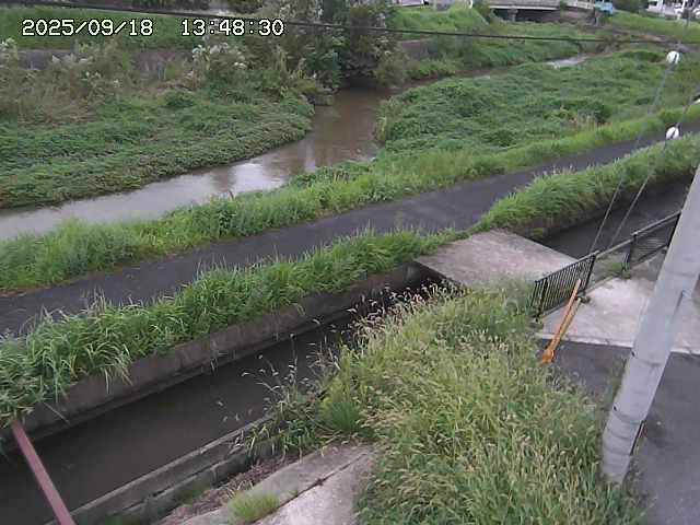 加茂川２2025/09/18 14:50:00