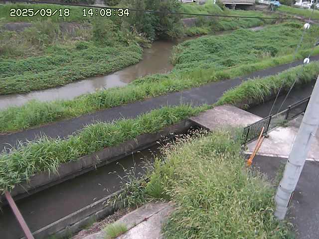 加茂川２2025/09/18 14:50:00
