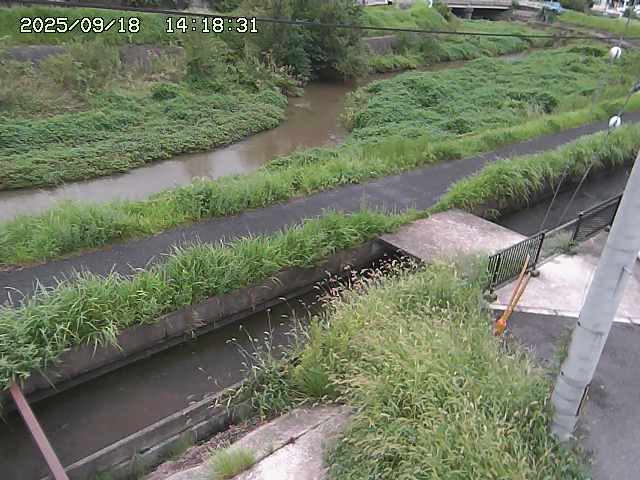 加茂川２2025/09/18 14:50:00