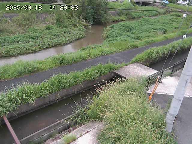 加茂川２2025/09/18 14:50:00