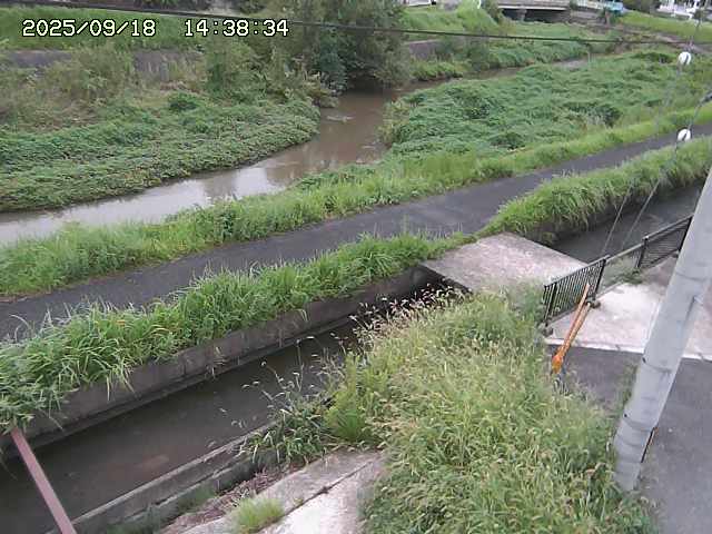 加茂川２2025/09/18 14:50:00