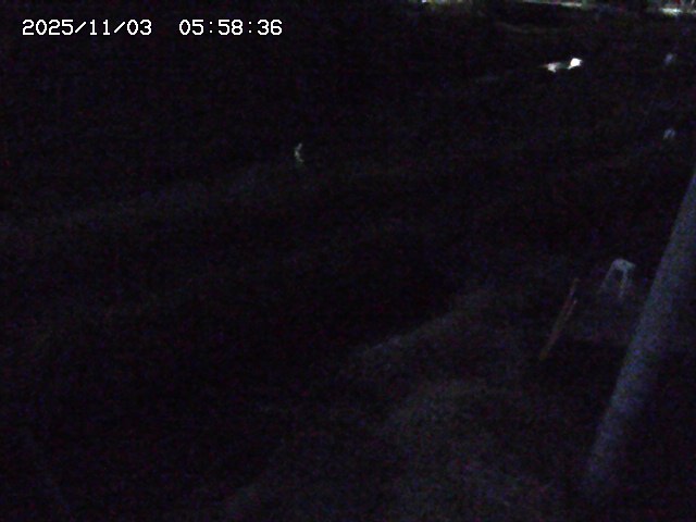 加茂川２2025/11/03 17:40:00