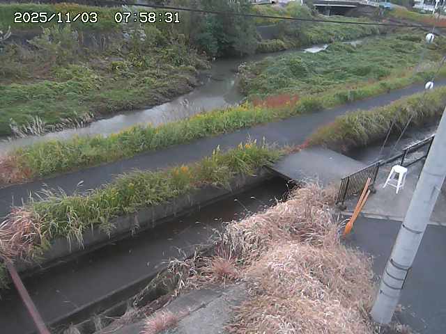 加茂川２2025/11/03 17:40:00