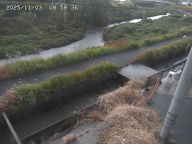 加茂川２2025/11/03 17:40:00