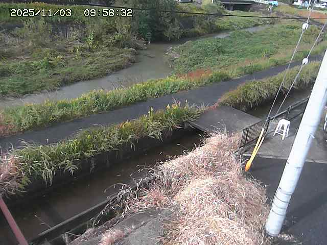 加茂川２2025/11/03 17:40:00