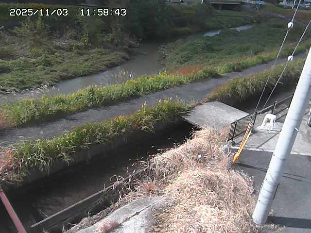 加茂川２2025/11/03 17:40:00