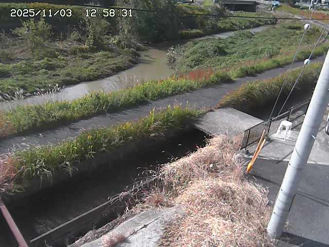 加茂川２2025/11/03 17:40:00