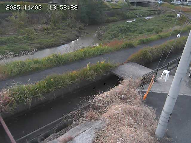 加茂川２2025/11/03 17:40:00