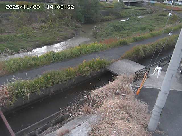加茂川２2025/11/03 17:40:00