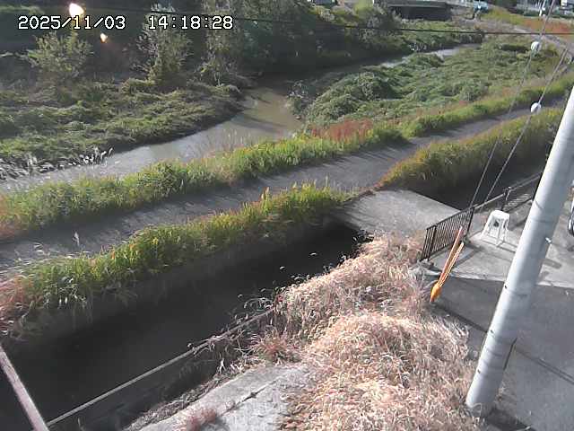 加茂川２2025/11/03 17:40:00