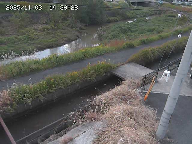 加茂川２2025/11/03 17:40:00