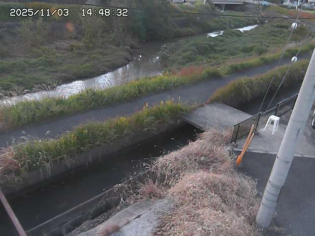 加茂川２2025/11/03 17:40:00