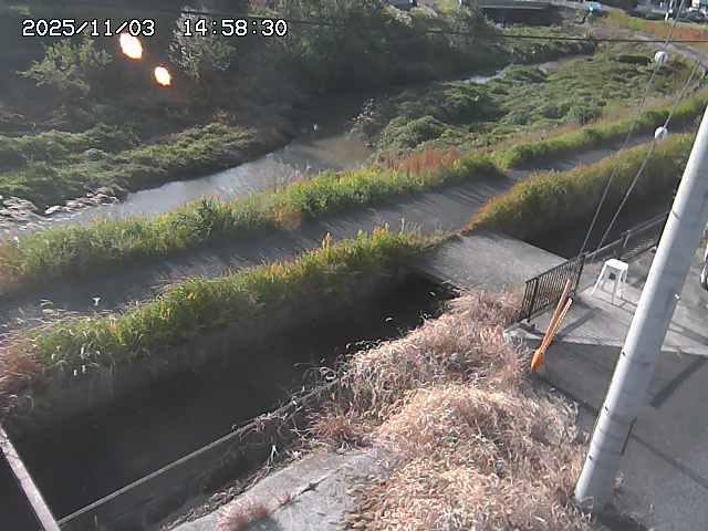 加茂川２2025/11/03 17:40:00
