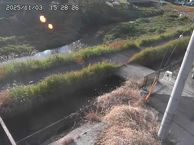 加茂川２2025/11/03 17:40:00