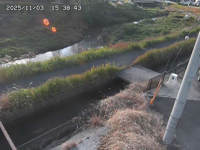 加茂川２2025/11/03 17:40:00