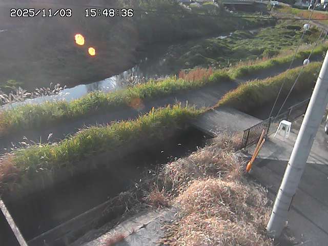 加茂川２2025/11/03 17:40:00