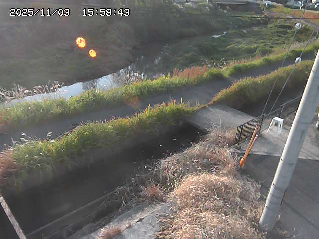 加茂川２2025/11/03 17:40:00