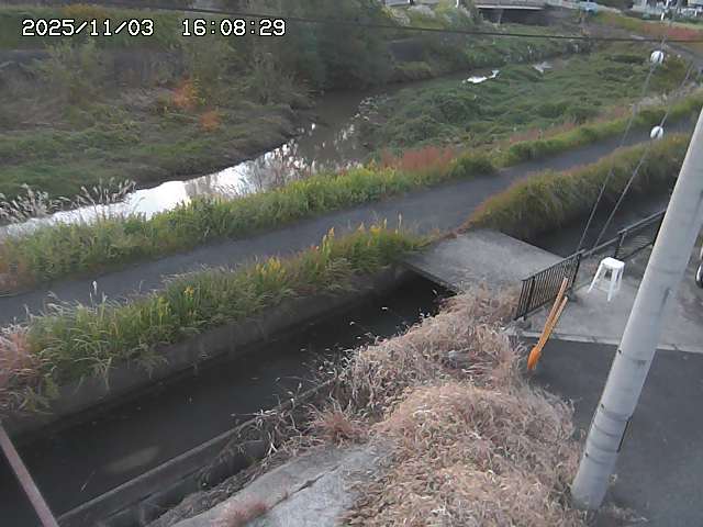 加茂川２2025/11/03 17:40:00