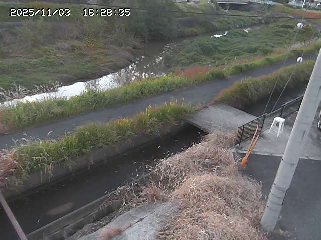加茂川２2025/11/03 17:40:00