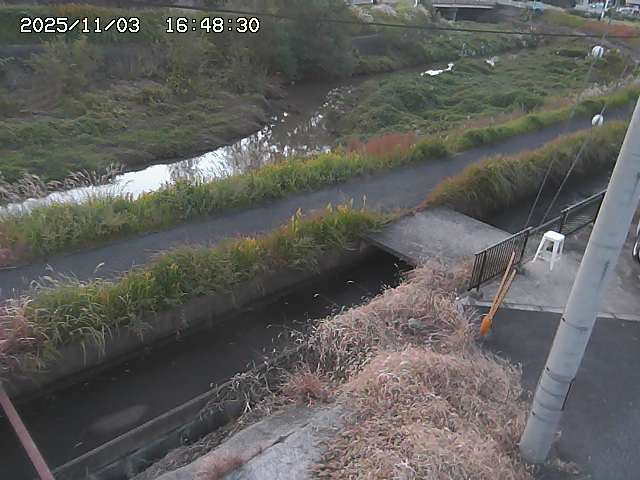 加茂川２2025/11/03 17:40:00