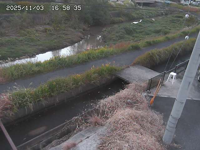 加茂川２2025/11/03 17:40:00
