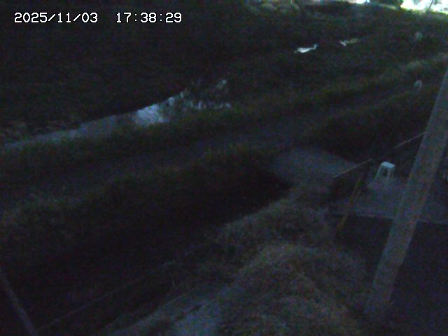 加茂川２2025/11/03 17:40:00