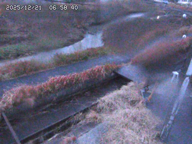 加茂川２2025/12/22 0:50:00
