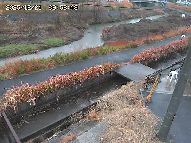 加茂川２2025/12/22 0:50:00