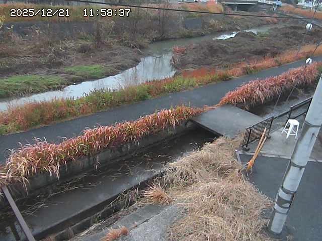 加茂川２2025/12/22 0:50:00