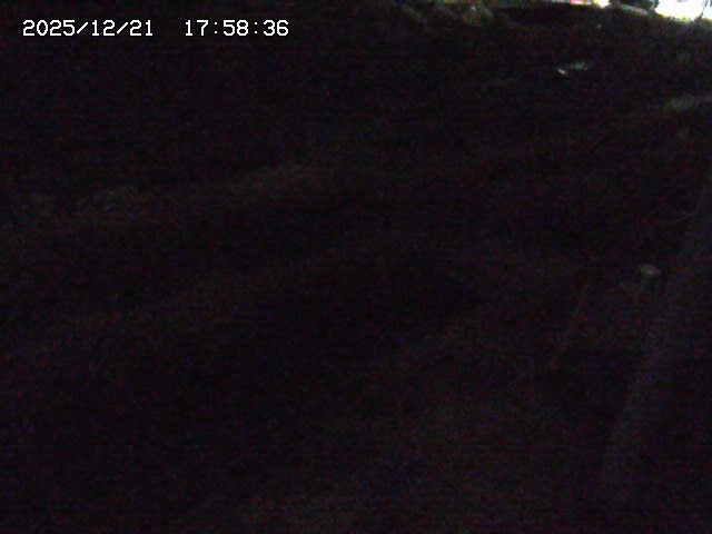 加茂川２2025/12/22 0:50:00