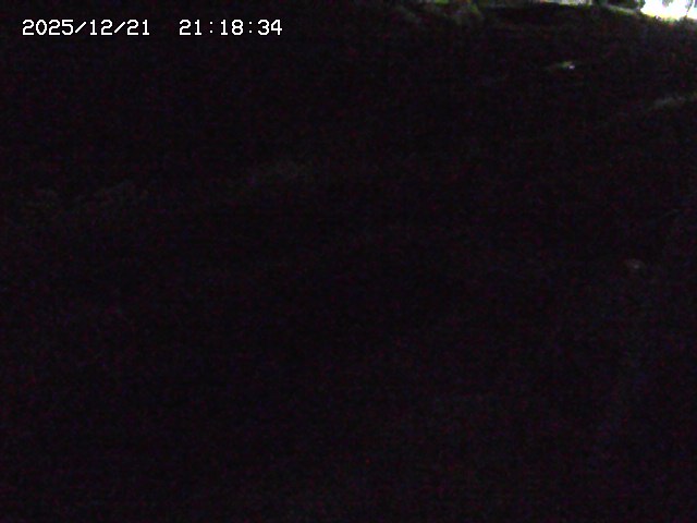 加茂川２2025/12/22 0:50:00