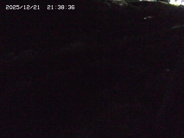 加茂川２2025/12/22 0:50:00
