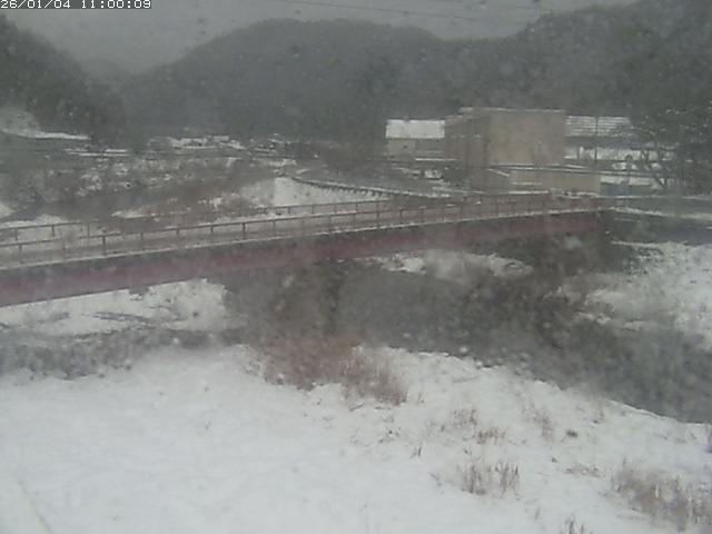 日野川１１2026/01/05 11:20:00