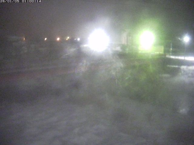 日野川１１2026/01/05 11:20:00