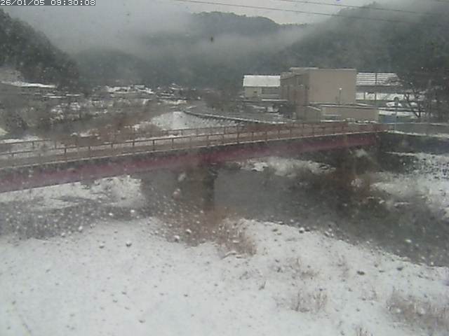 日野川１１2026/01/05 11:20:00