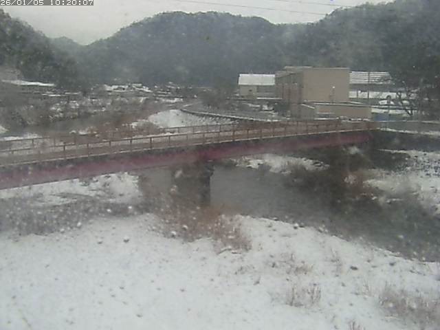 日野川１１2026/01/05 11:20:00