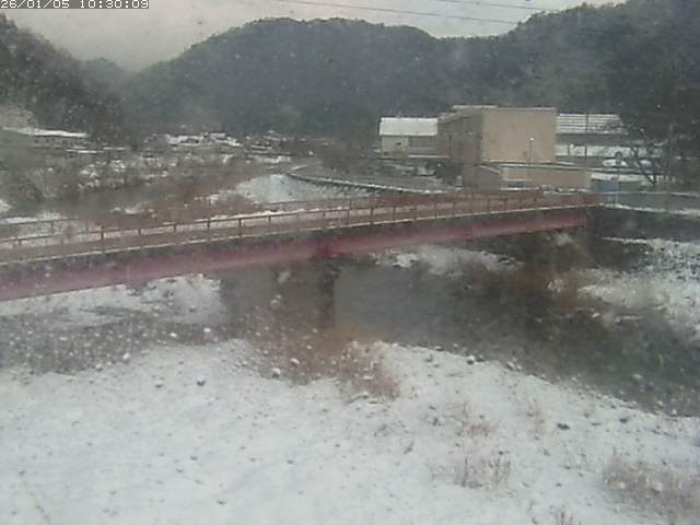 日野川１１2026/01/05 11:20:00