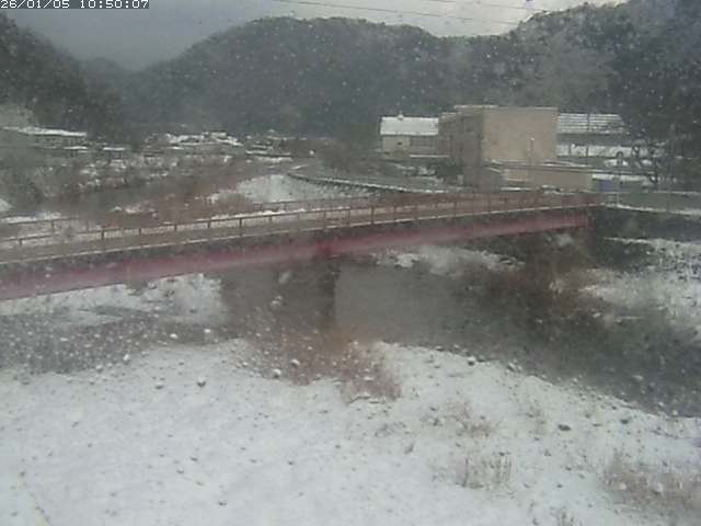 日野川１１2026/01/05 11:20:00