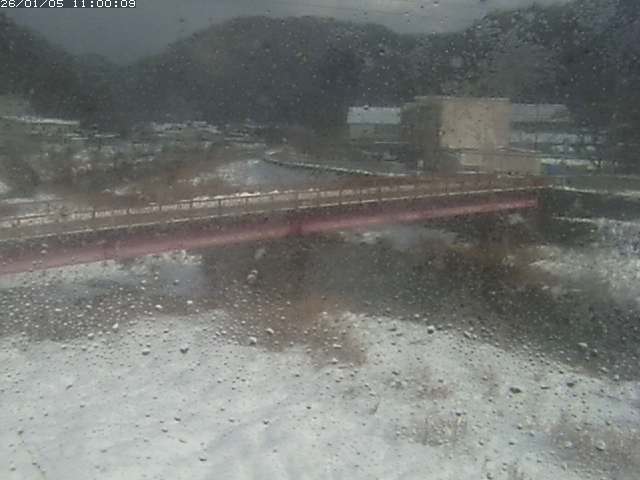 日野川１１2026/01/05 11:20:00