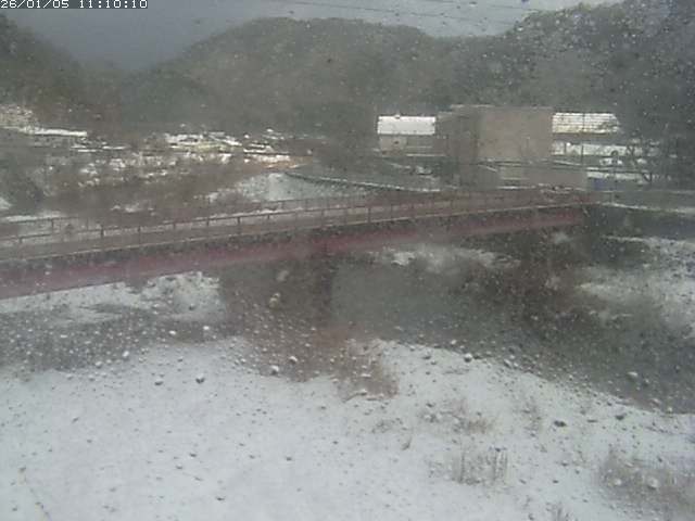 日野川１１2026/01/05 11:20:00