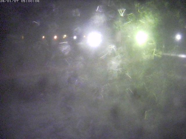 日野川１１2026/01/08 4:20:00