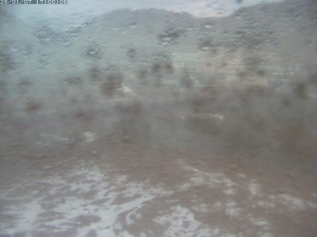 日野川１１2026/01/08 4:20:00